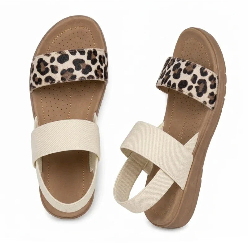 Wild Leopard / 14